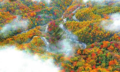 Ĵ GM츮