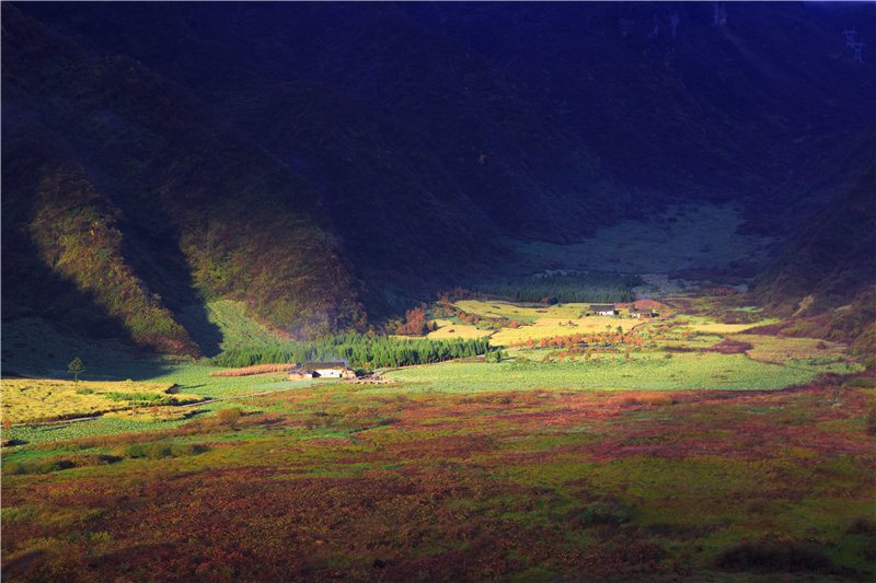大瓦山國(guó)家濕地公園——高粱池。金口河區(qū)生態(tài)環(huán)境局供圖