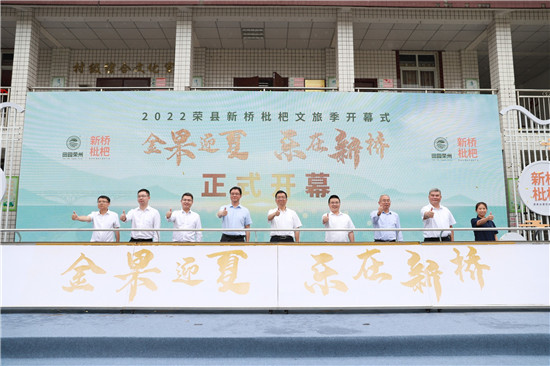 “金果迎夏·樂在新橋”枇杷文旅季正式開幕。主辦方供圖