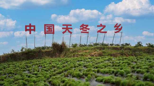 (zhn)_塣|d^(q)ýwĹD