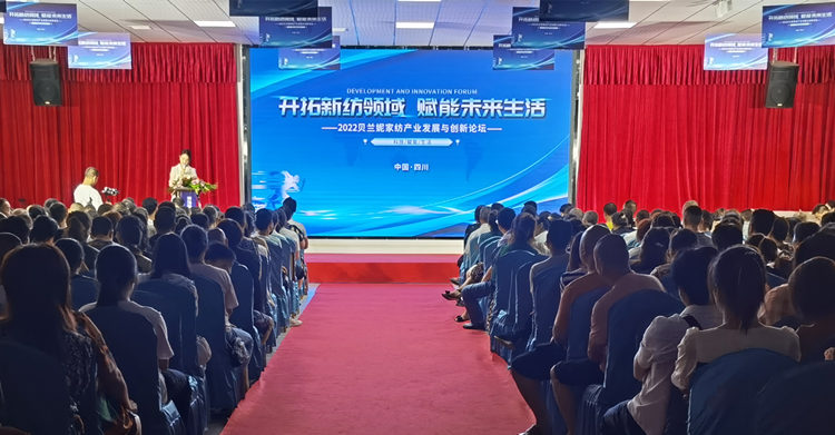 論壇現場。綿竹市融媒體中心供圖