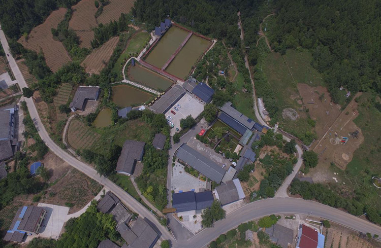 老村委會改建的“金色家園”農家樂。劍閣縣融媒體中心供圖
