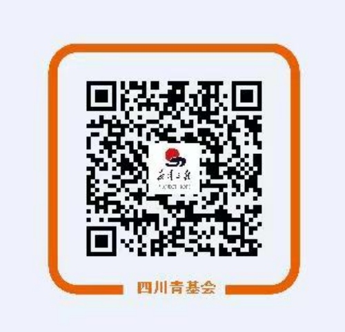 支付寶捐贈(zèng)二維碼。共青團(tuán)四川省委供圖