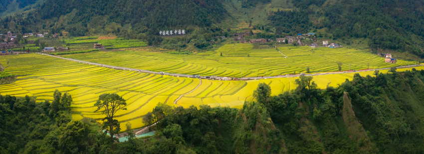 四川省涼山州德昌縣，“中國碗裝中國糧”香稻基地航拍。德昌縣委宣傳部供圖