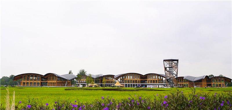 中國天府農博園內，24節氣塔立于青苗建筑群中，與自然農田和諧共融。新津區委宣傳部供圖