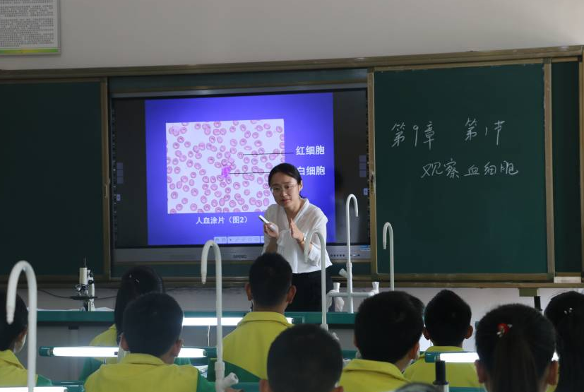 特崗教師張林：扎根鄉村為了山花更爛漫