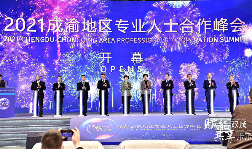 成渝地區專業人士合作峰會現場。天府新區區委統戰部供圖