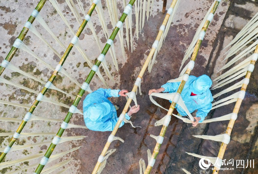 手工苕粉制作現場。劉學懿攝