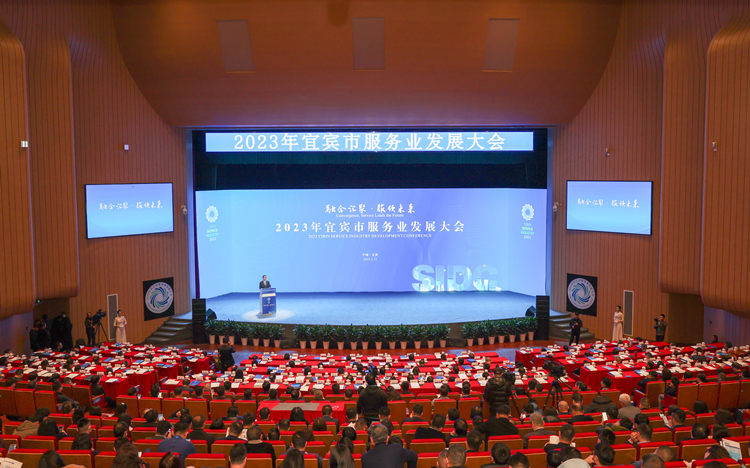 大會現(xiàn)場。宜賓市委宣傳部供圖
