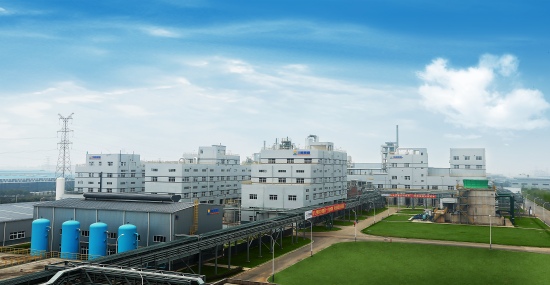 四川能投旗下鼎盛鋰業(yè)公司。四川能投供圖
