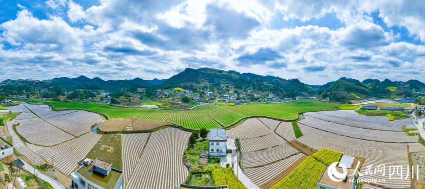 萬象“耕”新。李驍攝