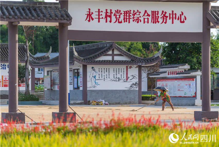 黨建引領實干才。楊槐攝
