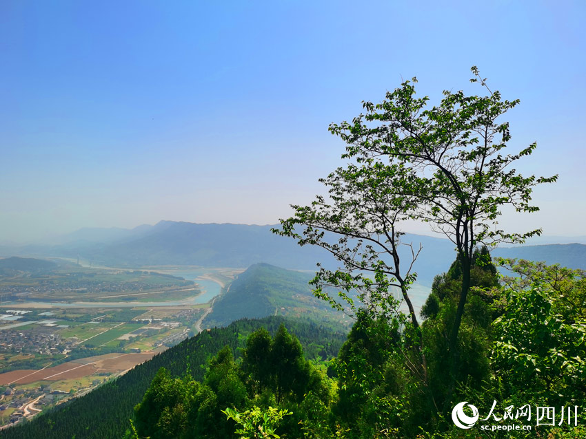 從古蜀道俯瞰山川風景。人民網(wǎng)記者 劉海天攝