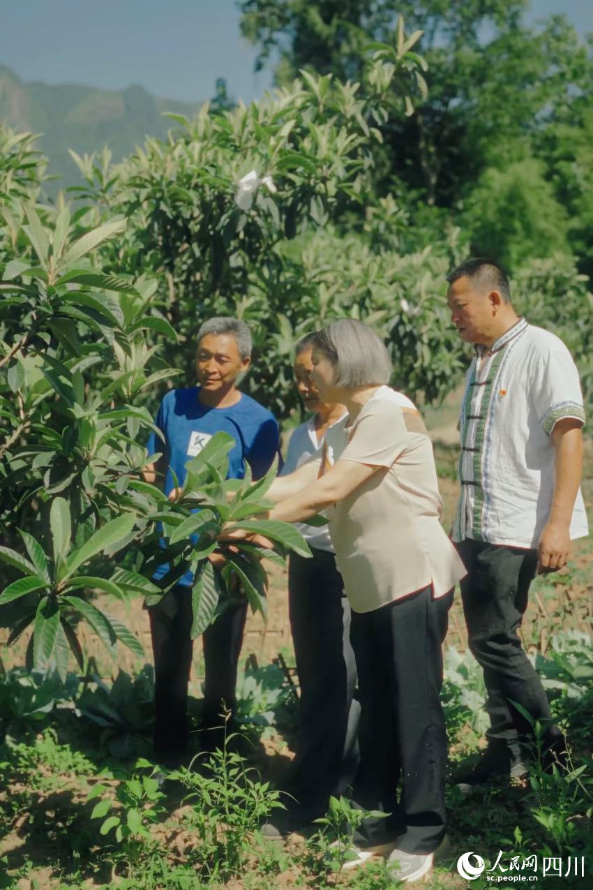 綿陽市農科院研究員任茂瓊（前排左一）在果園里，手把手給農戶演示如何修枝。人民網記者 張若涵攝