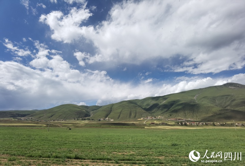 已完成種植工作的甘孜縣草種繁育基地。人民網記者 王洪江攝