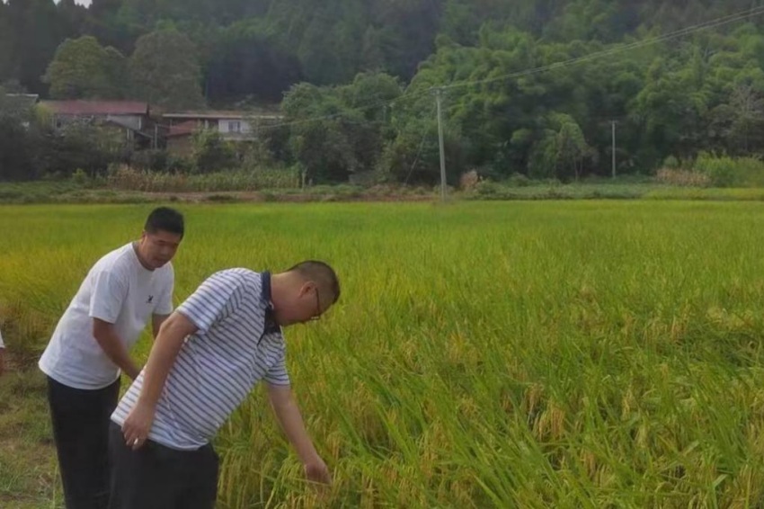 董家埂鎮紀檢干部到該鎮龍口村實地檢查耕地保護工作。成都東部新區紀工委監察工委供圖