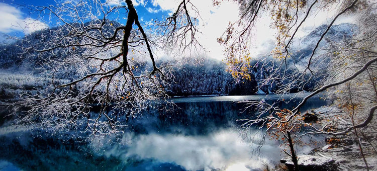 雪景中的彩林、海子。九管局供圖
