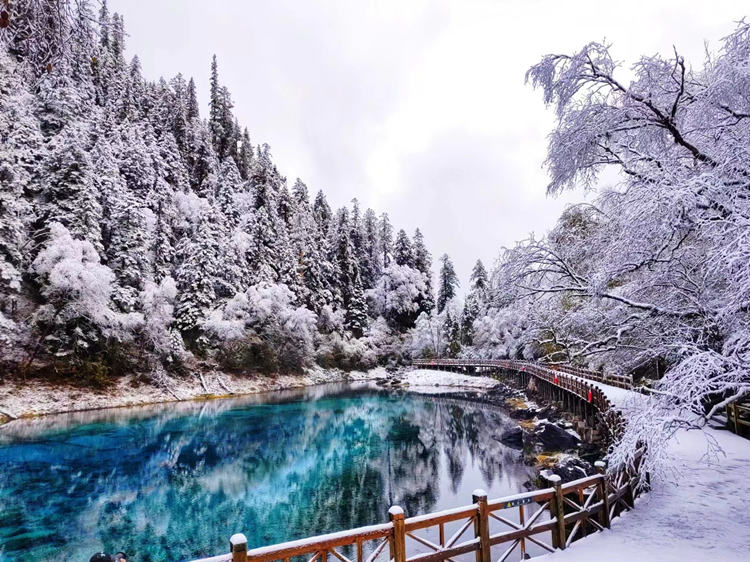雪景中的五彩池。九管局供圖