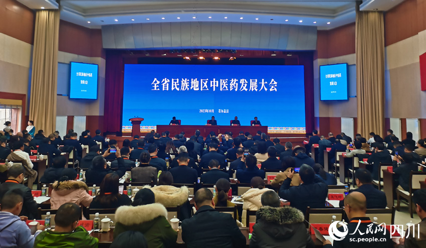 會(huì)議現(xiàn)場(chǎng) 人民網(wǎng)記者 劉海天攝