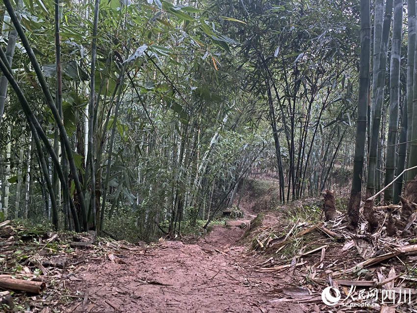 當地持續降雨，山村道路濕滑。人民網 王凡攝
