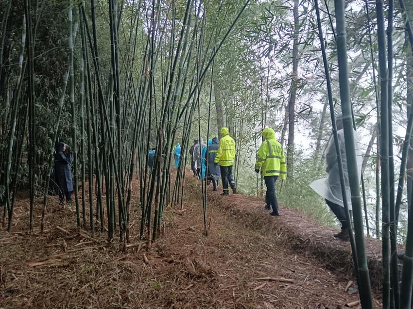多方搜救力量對兒童走失附近區(qū)域進行了大范圍搜查。宜賓市公安局供圖