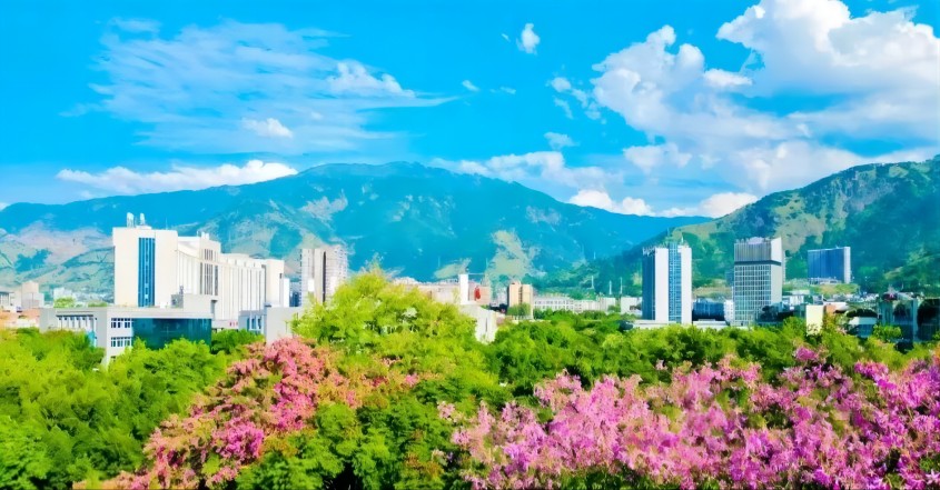 鮮花叢中的縣城。米易縣融媒體中心供圖