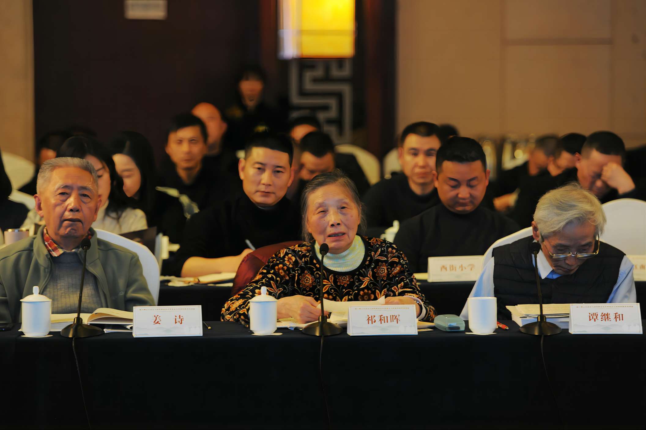 專家在座談會上發言。中江縣委宣傳部供圖