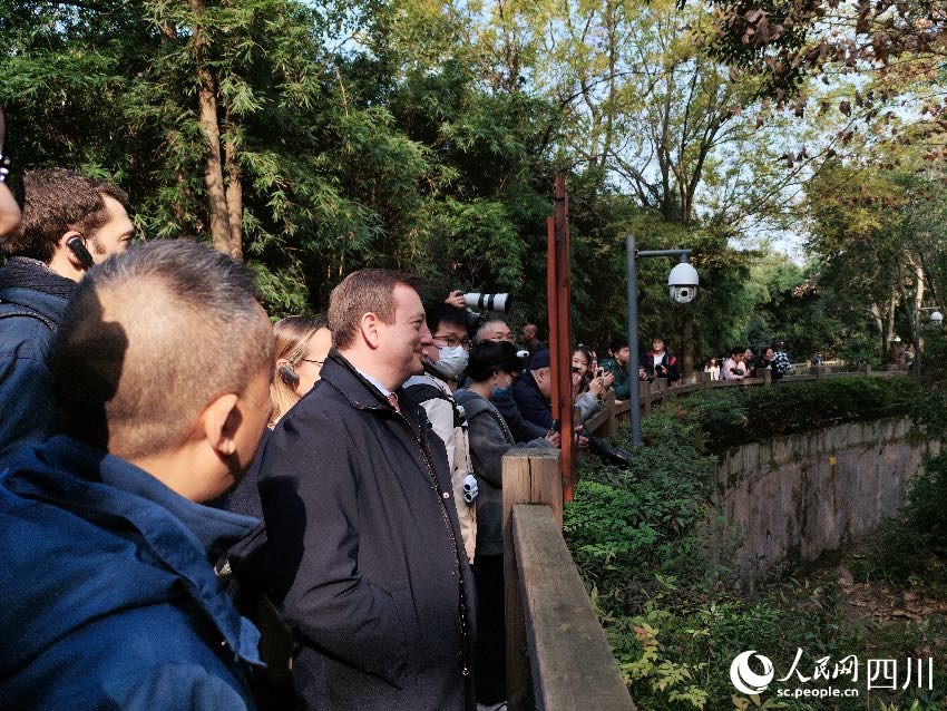 法國駐華大使白玉堂參訪成都大熊貓繁育研究基地，看望首只在法國出生的大熊貓幼崽“圓夢”。人民網記者 朱虹攝