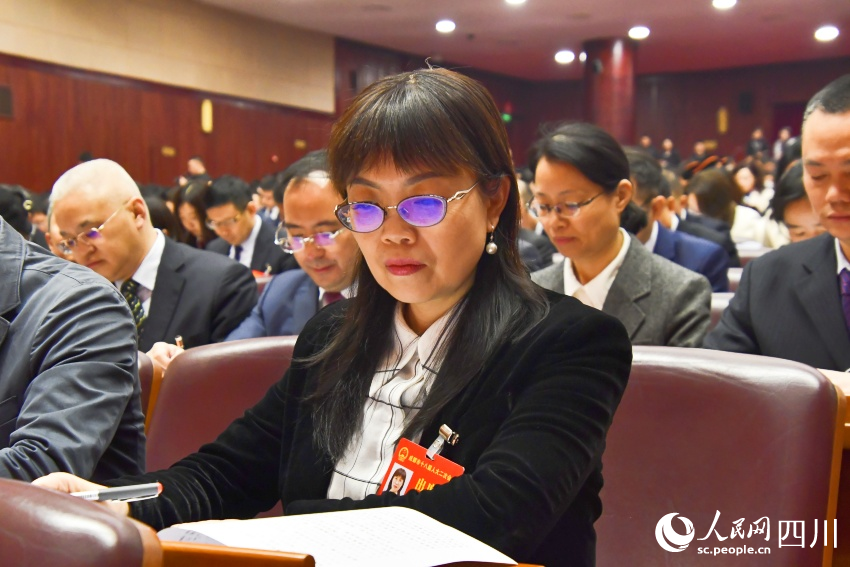 會議現(xiàn)場。人民網(wǎng)記者 王洪江攝