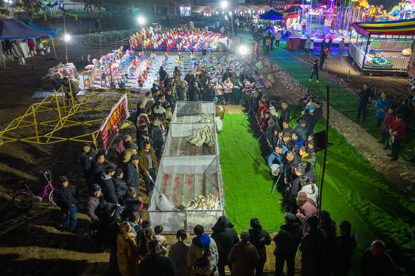 2月1日，群眾在眉山市彭山區金燭村的萬家水碾夜市體驗“套鵝”游樂項目。翁光建攝