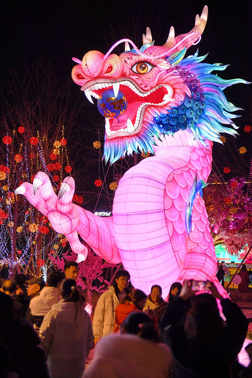 燈會(huì)上栩栩如生的龍。主辦方供圖