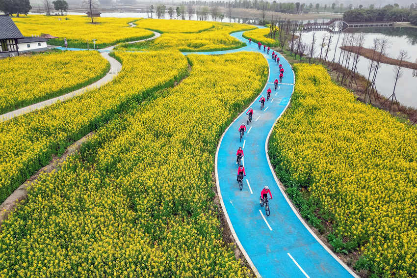 騎行愛好者在四川省眉山市彭山區“五湖四海”濕地公園綠道騎行賞花。翁光建攝