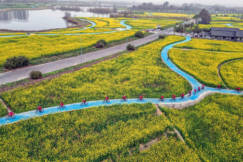 騎行愛好者在四川省眉山市彭山區“五湖四海”濕地公園綠道騎行賞花。翁光建攝