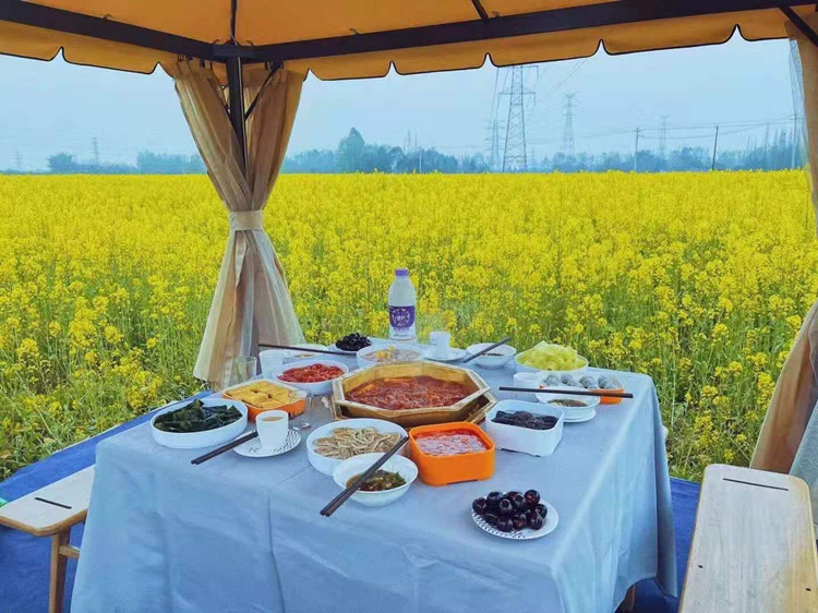 菜花叢中品美食。崇州市委宣傳部供圖