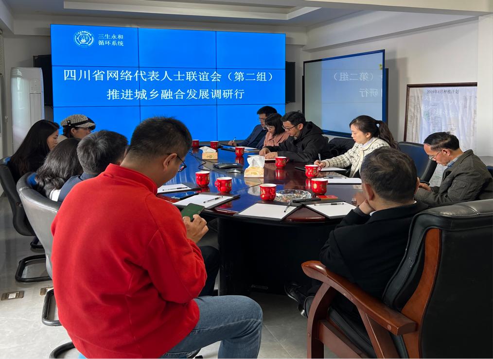 座談會。四川省網(wǎng)聯(lián)會供圖