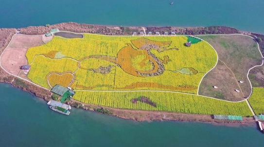 航拍武勝縣中心鎮(zhèn)應(yīng)龍島。