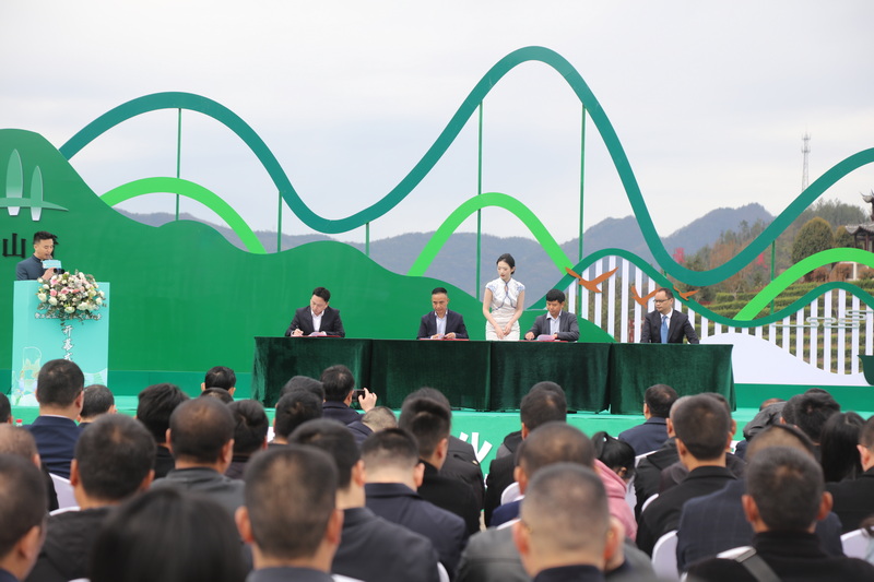 托底性幫扶萬源單位與萬源茶企現場簽約。馬發海供圖
