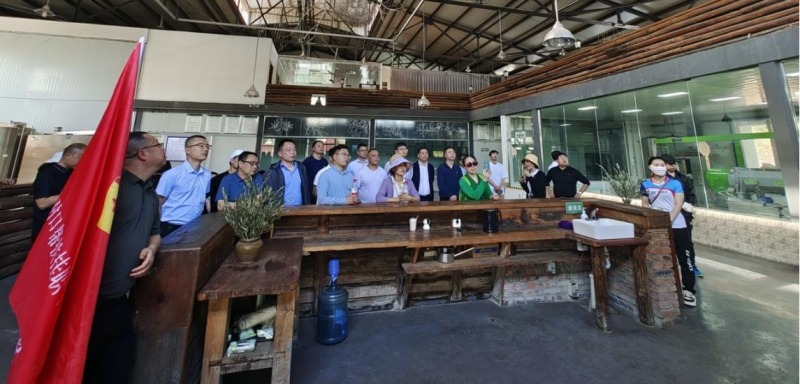 調研中澤油橄欖科技產業園。宜賓市結對幫扶南江縣工作隊供圖