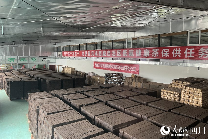 雅安茶廠生產(chǎn)的雅安藏茶。人民網(wǎng) 趙祖樂攝