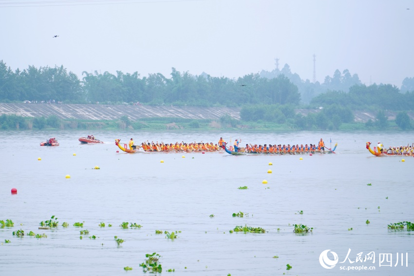 龍舟賽現場。人民網 趙祖樂攝
