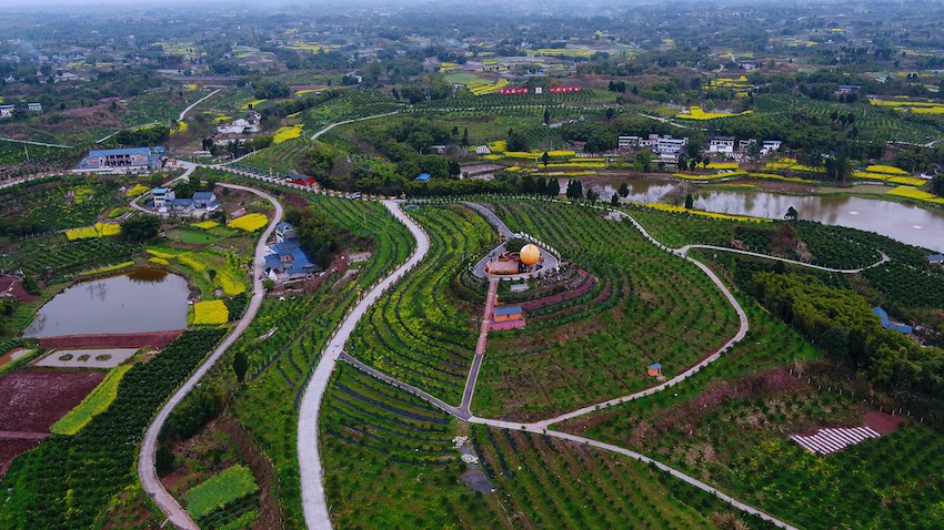 阡陌交錯的農村路。四川省交通運輸廳供圖