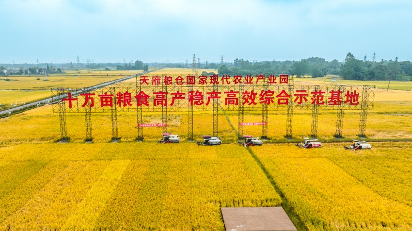 成都市天府糧倉國家現代農業產業園區。崇州市委宣傳部供圖