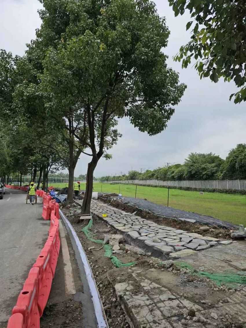 國資金融局+都江堰結對聯動：青城園區周邊示范段打造。青城合作片區管委會供圖