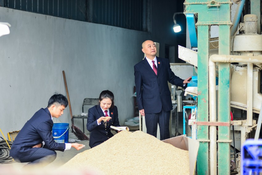 以檢察之力保障種子安全， “農(nóng)”墨重彩繪豐景。崇州市檢察院供圖