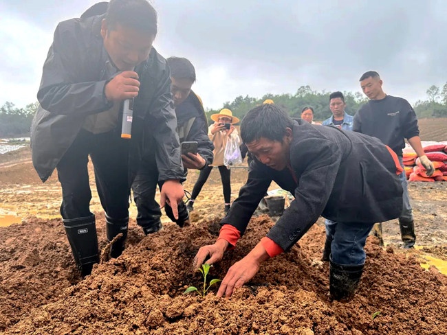 培訓員分享人參果“種植秘籍”。黑乃木乃攝