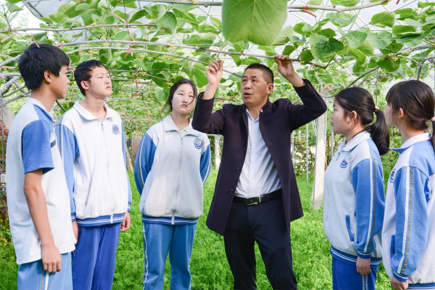 蒼溪縣職業(yè)高級(jí)中學(xué)組織獼猴桃實(shí)踐活動(dòng)。蒼溪縣職業(yè)高級(jí)中學(xué)供圖