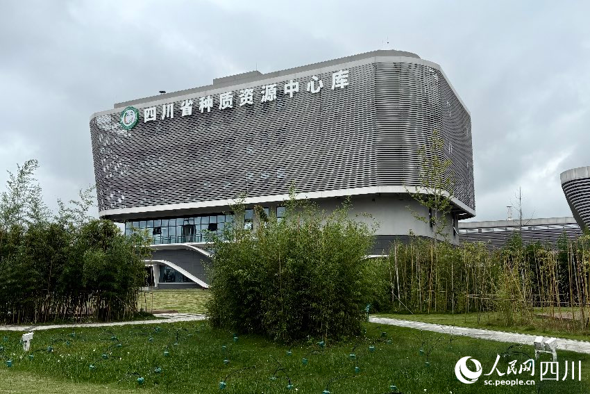 四川省種質資源中心庫正式全面運行。人民網記者 朱虹攝