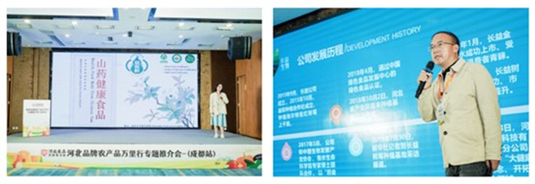 企業(yè)推介。主辦方供圖