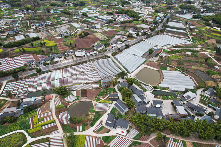 水口村新貌。熊小利攝