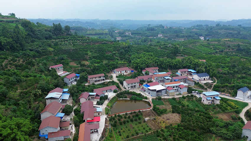 實施農村面貌改善行動后，資中縣歸德鎮蘆高山村尹家大院舊貌變新顏。徐艷梅攝